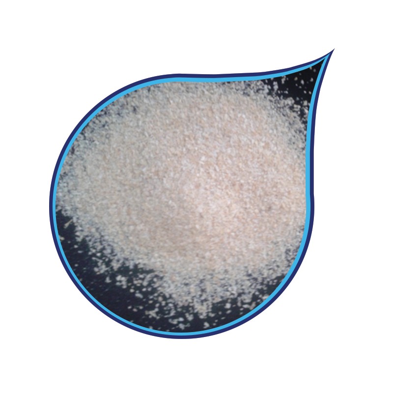 Dehydrated White Onion Granules Dehydrated White Onion Granules